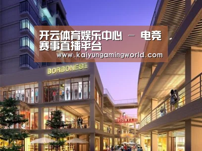 案例展示一